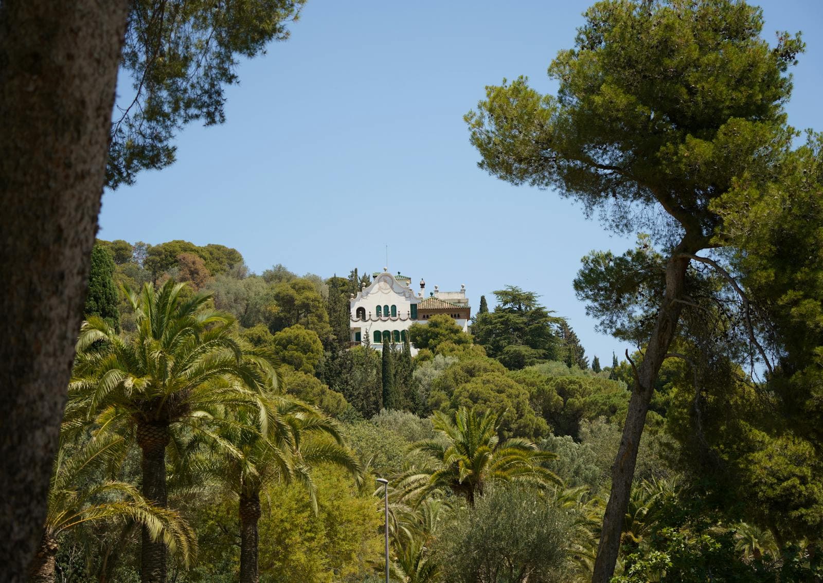 Destination wedding venue in Valencia Spain with a live band performing during cocktail hour